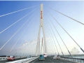 [湖北]长江大桥环保景观绿化施工图101张