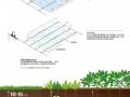 屋顶花园设计规范及植物配置 ！
