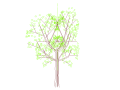 bim软件应用-族文件-嵌套树