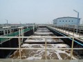 [新疆]某市污水处理厂优秀毕业设计（含有设计图纸）