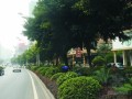 [广东]城市道路设计方案及环评报告书180页