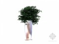 室内植物3D模型下载