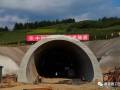隧道特殊地质处理施工技术