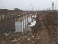 新修道路综合管廊围护结构专项施工方案（拉森钢板桩、SMW工法桩）