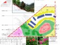 深圳某区植被恢复工程设计方案及施工图