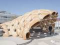 壳体结构的仿生研究！一个采用木材工业缝纫的建筑