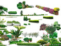 ps植物素材免费下载,ps植物模板，免费高清植物PND图片，植物设计