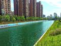 上海市政总院：用创新理念和技术引领海绵城市建设