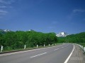 [山东]市政道路景观绿化工程施工招标文件