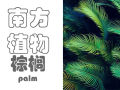 [植物总结]南方常见植物-棕榈类