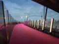 惊“红”一瞥@新西兰粉色步行桥好鲜艳有木有？