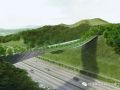 这座高架桥是属于野生动物的！韩国yangjaegogae生态桥