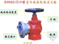 [PPT]专家解析消防水及消火栓系统技术规范（596页）
