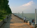 [湖南]沿湖景观工程监理规划（绿化、铺路、护栏）