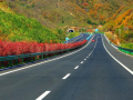 [贵州]高速公路项目中BIM技术应用