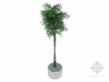 盆栽绿树3D模型下载