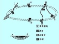 岩土工程地质勘察ppt版（共33页）