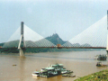 长江大桥钢绞线斜拉索安装工艺研究