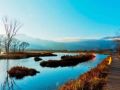 中国最美的六大湿地公园！
