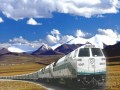 [西藏]铁路工程总承包施工组织设计476页（路桥涵隧轨道 技术标）