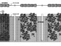 覆绿色植物围墙施工大样图