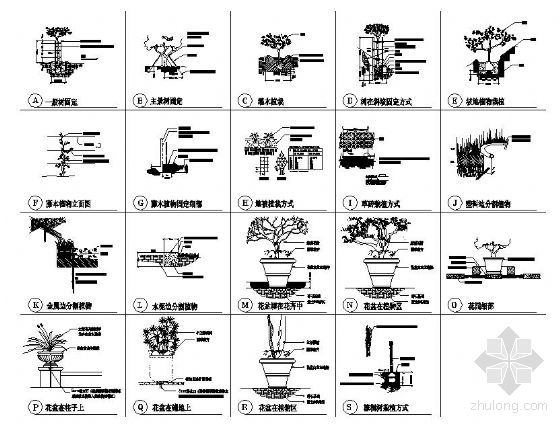很少见的植物种植做法施工图