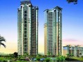 [山东]高层住宅楼建设工程总承包合同(92页)