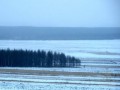 [内蒙古]煤矿土地复垦方案报告书