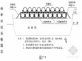 码头高桩梁板项目施工方案