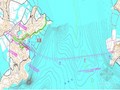 [浙江]主桥双塔整幅叠合梁斜拉桥群桩基础跨海大桥投标施工组织设计216页