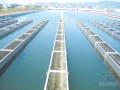 [硕士]管网叠压供水技术在深圳市的应用研究