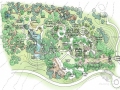 [美国]儿童森林公园景观设计方案（英文）