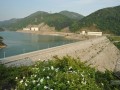 [湖南]大(一)型抽水蓄能水电站主体工程施工组织设计