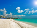 沉醉迈阿密 徜徉热带风情畅享华丽假期