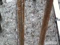 河北某焦化工程混凝土施工方案（附图）