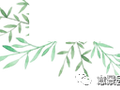 [精品工程]意景打造有温度，有关怀的太和县道路绿化项目
