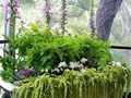 花园小景 · 旧物的华丽转身