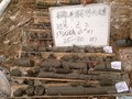 [浙江]高层办公楼岩土工程勘察报告（详勘 图表数据齐全）