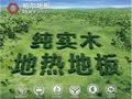 实木地板为啥有色差 [柏尔地板]