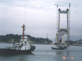 [浙江]特大型跨海桥自创技术及先导索过海施工方案