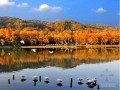 [杭州]西溪湿地渔庄景观提升零星工程招标文件