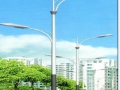 [安徽]城市主干道10.5米高双臂路灯设计图