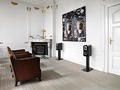 丹麦DALI达尼 皇室EPICON 2发烧HiFi主箱