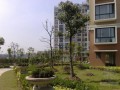 [上海]住宅综合工程监理投标书（122页 编制于2011年）