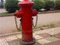 消防工程师考点：室外消火栓系统设置要求