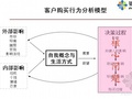 中原地产某项目营销全案