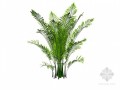 装饰植物3D模型下载