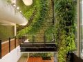 垂直绿化，让建筑活起来！