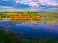 湿地公园项目水利工程安全操作规程