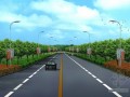 [广州]市政道路建设工程造价指标分析